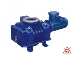 江苏罗茨真空泵